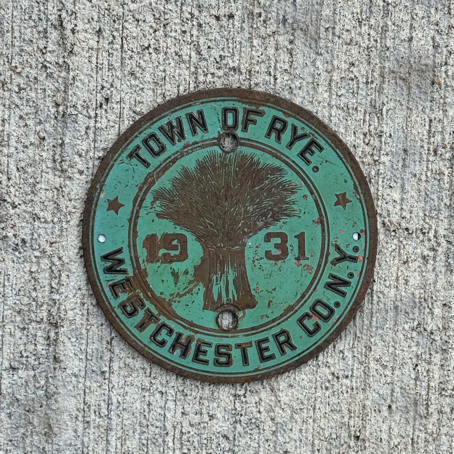 Photo of a 1931 Town of Rye New York Badge Emblem License Plate Topper Auto Tag Garage Decor Vintage with original patina