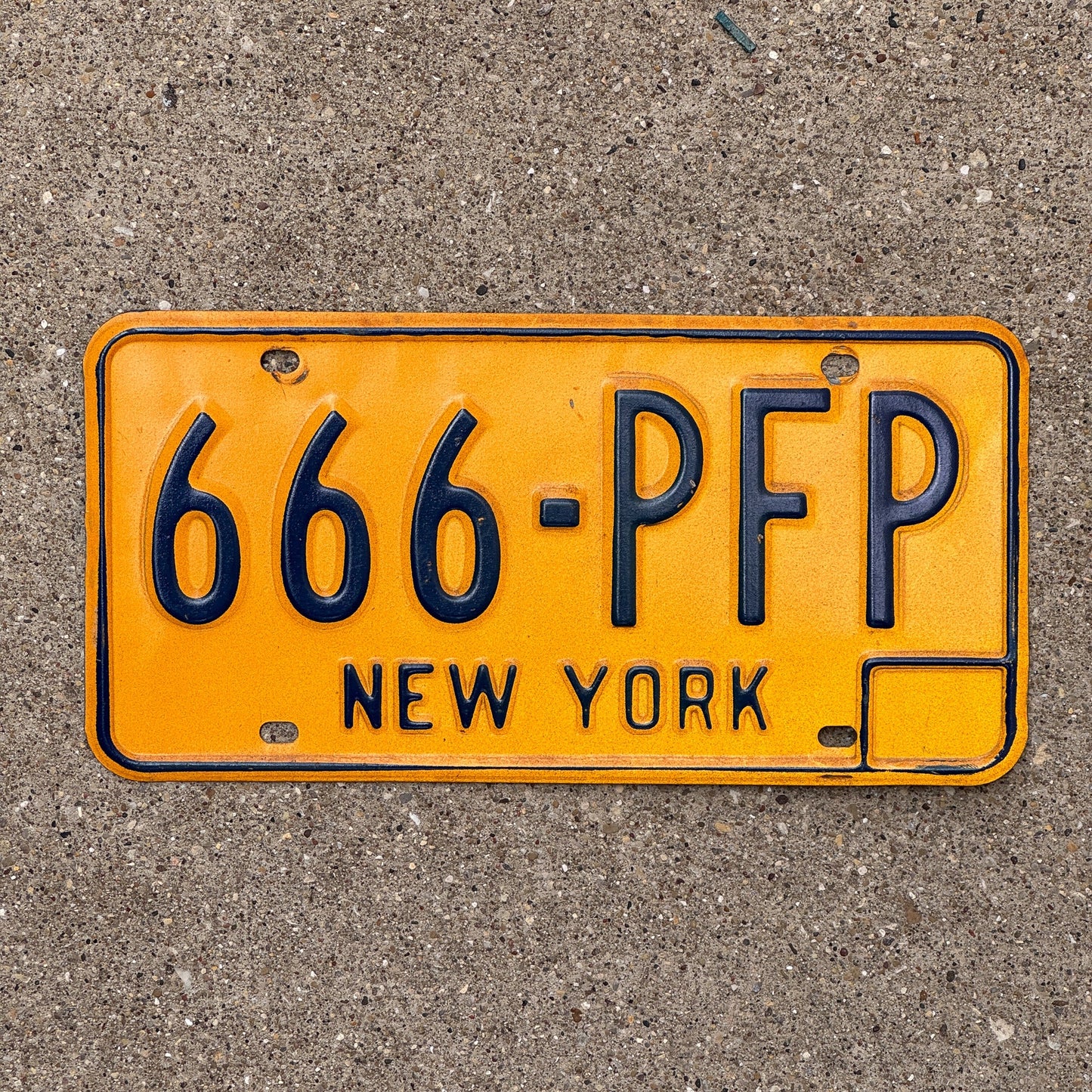 Photo of a 1973 New York License Plate Auto Tag Garage Decor Vintage Repeat Repeating 666 PFP