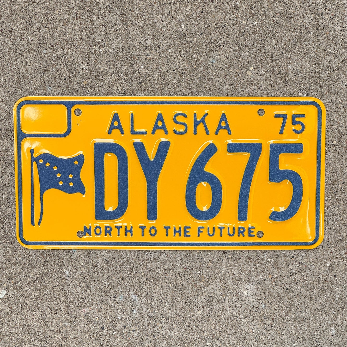 Photo of a 1975 Alaska License Plate Auto Tag Garage Decor Vintage High Quality DY 675 with original patina
