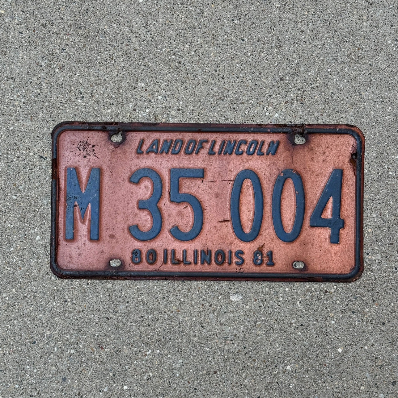 Photo of a 1981 Illinois Municipal License Plate Auto Tag Garage Decor Vintage M 35004