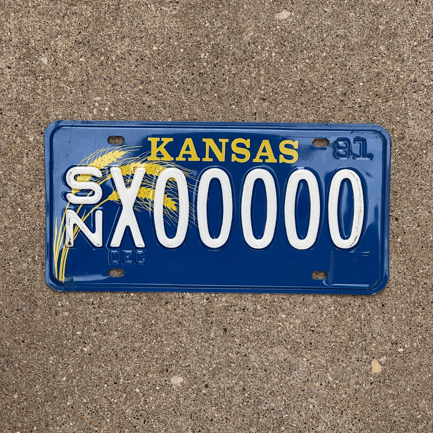 Photo of a 1981 Kansas SAMPLE License Plate Auto Tag Garage Decor Vintage SN X 00000