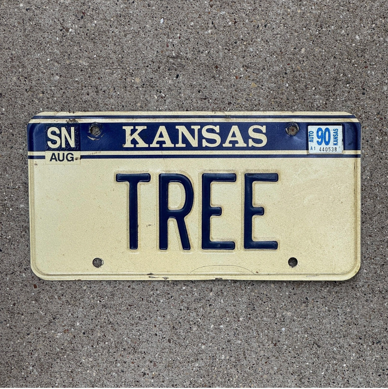 Photo of a 1985 1990 Kansas Vanity License Plate Auto Tag Garage Decor Vintage Oak Maple Biology Plants TREE with original patina