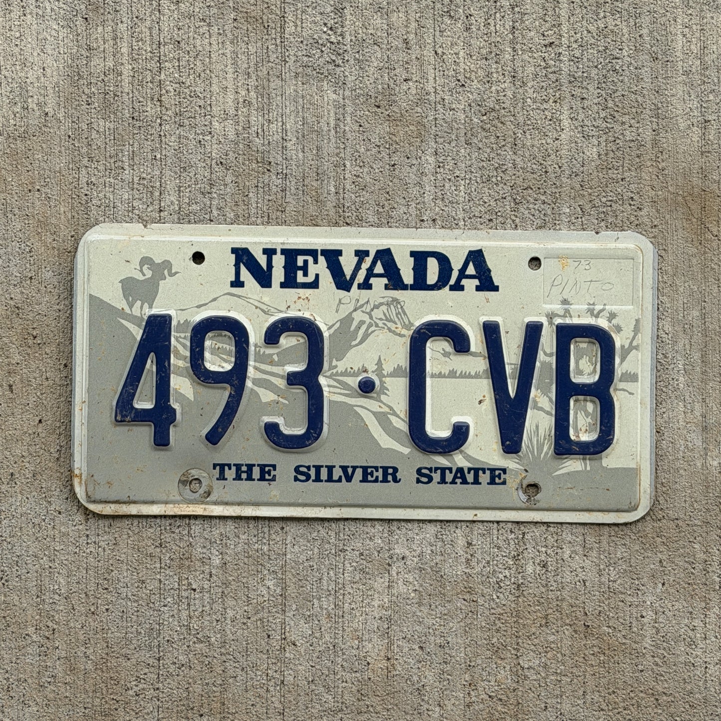 Photo of a 1985 Nevada License Plate Auto Tag 1 Vintage Garage 493 CVB with original patina
