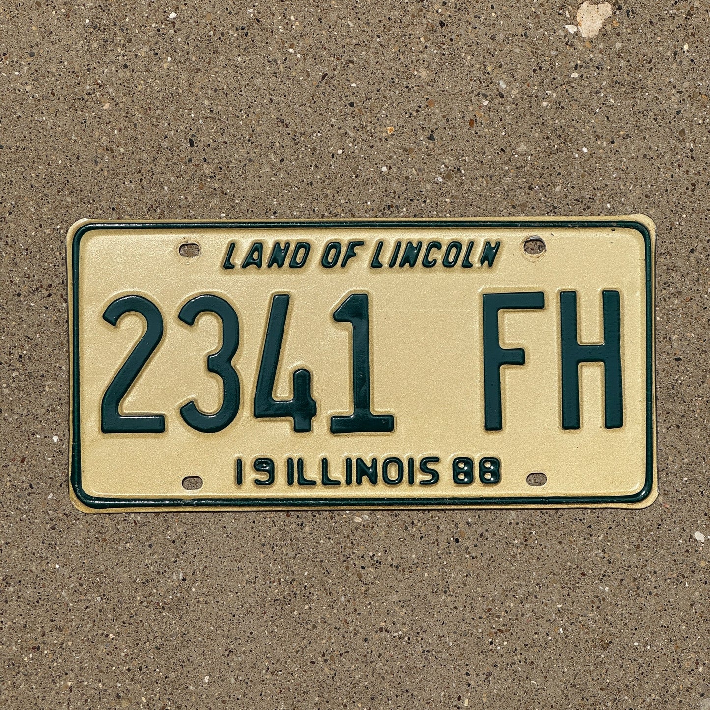 Photo of a 1988 Illinois Hearse License Plate Auto Tag Garage Decor Vintage Funeral Home 2341 FH