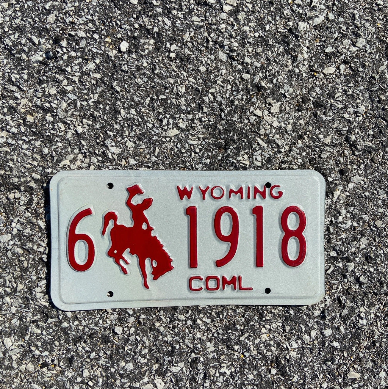 Photo of a 1988 Wyoming Truck License Plate Auto Tag Garage Decor Vintage Carbon Birth Year 6 1918