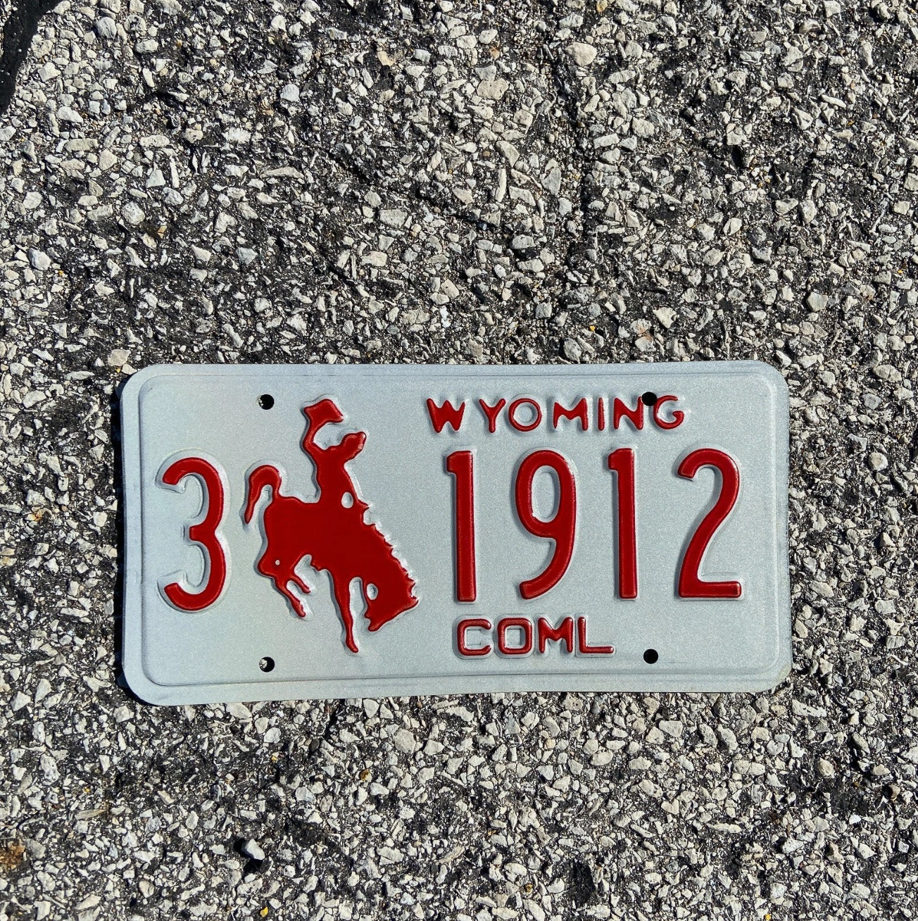 Photo of a 1988 Wyoming Truck License Plate Auto Tag Garage Decor Vintage Sheridan Birth Year 3 1912