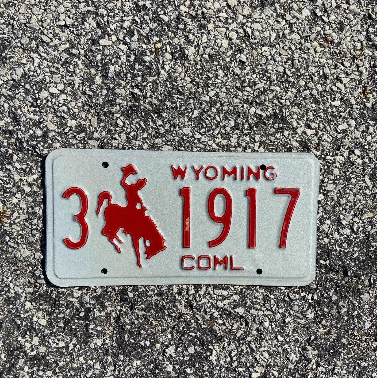 Photo of a 1988 Wyoming Truck License Plate Auto Tag Garage Decor Vintage Sheridan Birth Year 3 1917