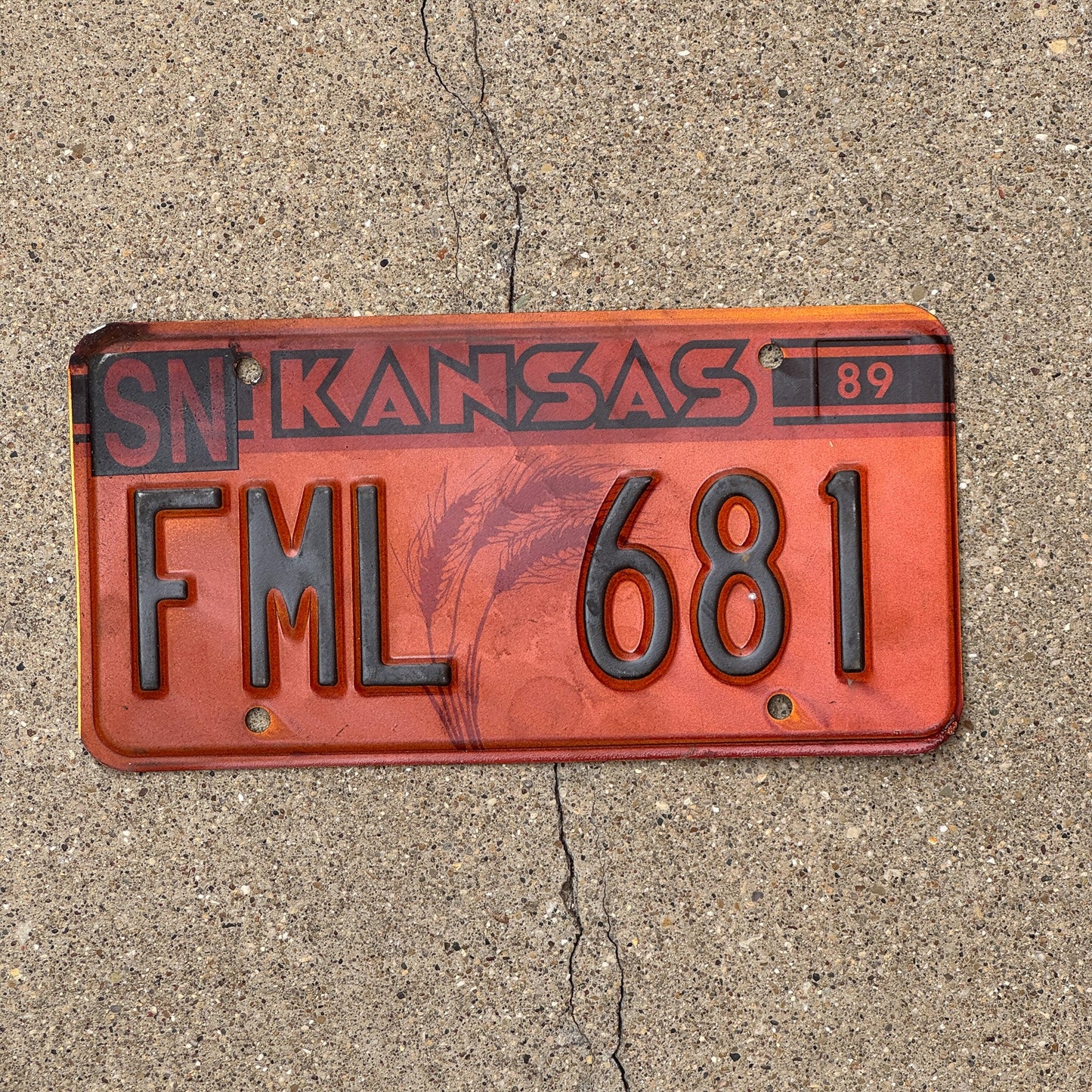 Photo of a 1989 Kansas Error License Plate Auto Tag Garage Decor Vintage Internet Slang Misprint FML 681