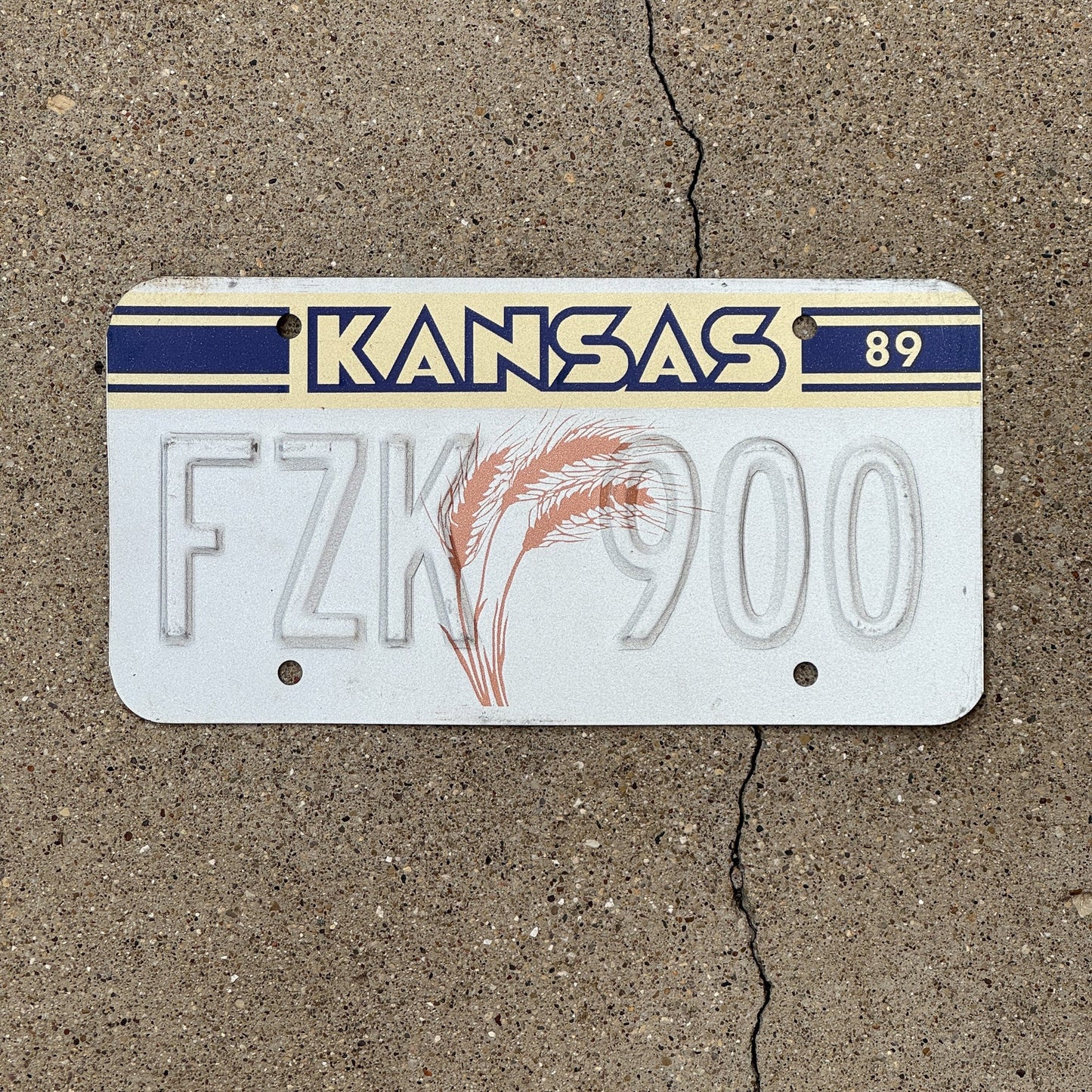 Photo of a 1989 Kansas Error License Plate Auto Tag Garage Decor Vintage Misprint FZK 900