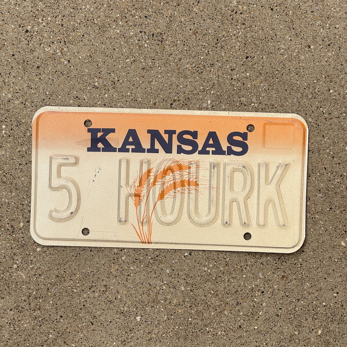 Photo of a 1989 Kansas Vanity Error License Plate Auto Tag 1 Garage Decor Misprint 5 HOURK