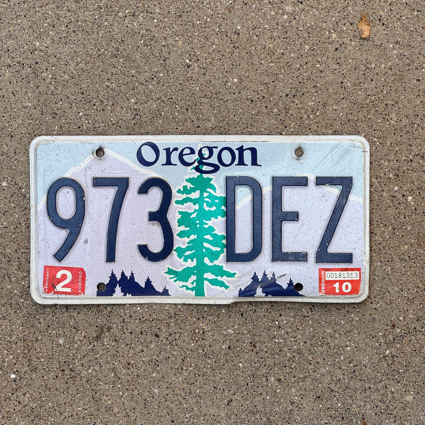 Photo of a 1991 2010 Oregon License Plate Auto Tag 1 Garage Decor 973 DEZ