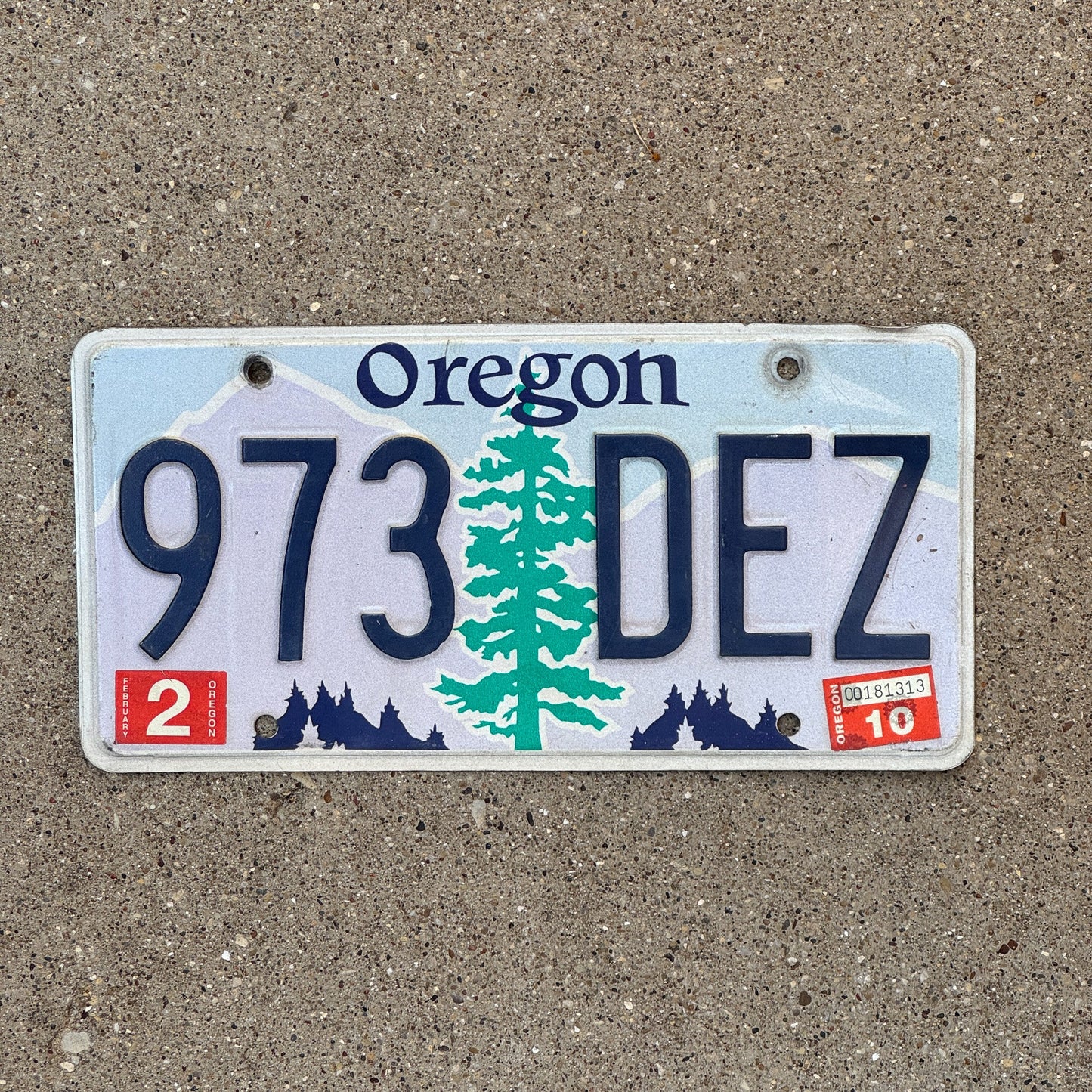 Photo of a 1991 2010 Oregon License Plate Auto Tag 2 Garage Decor 973 DEZ