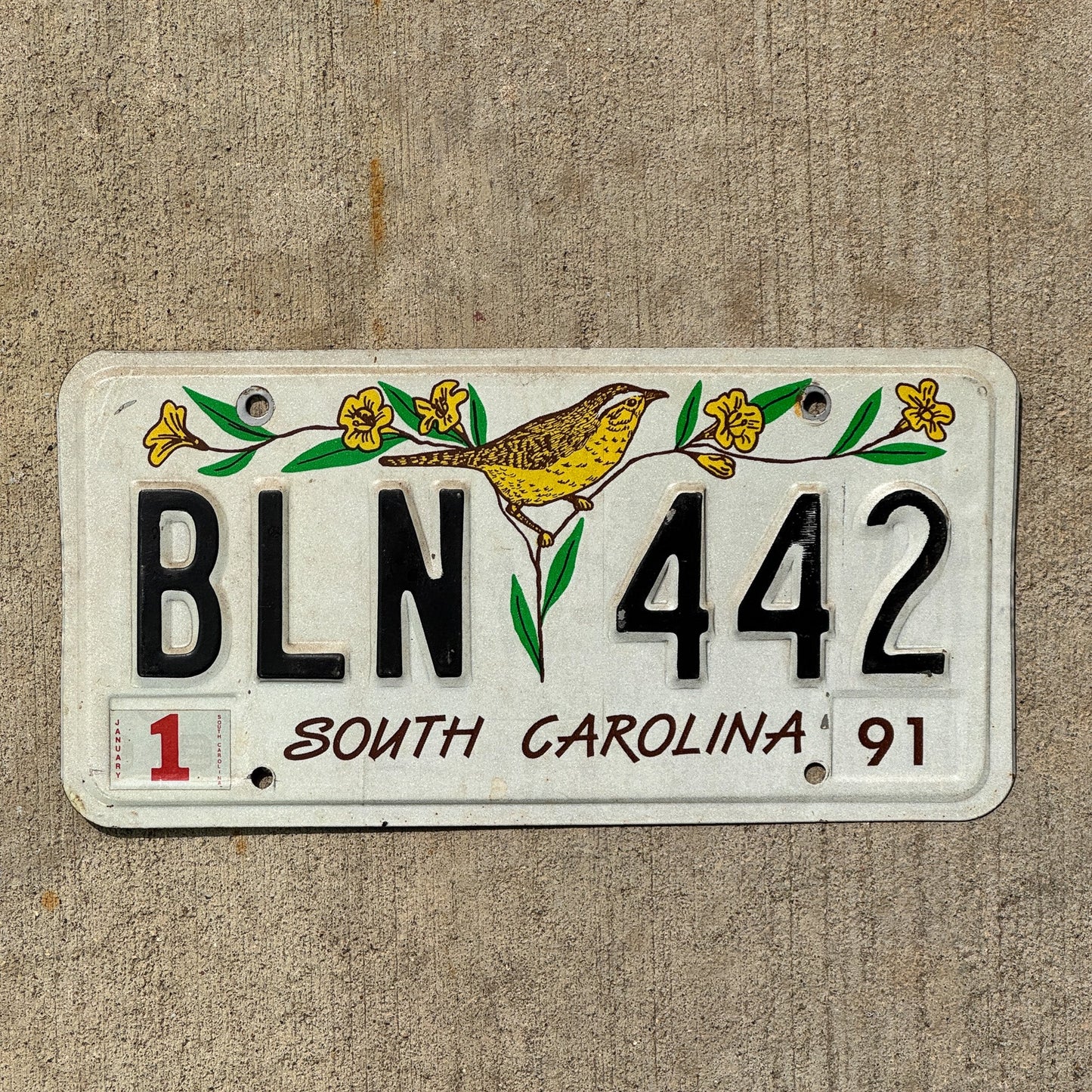 Photo of a 1991 South Carolina License Plate Auto Tag Garage Decor Vintage Bird BLN 442