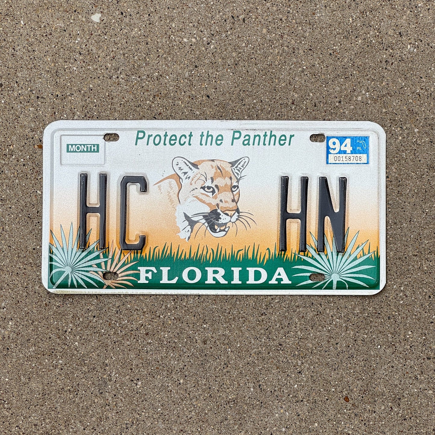 Photo of a 1993 1994 Florida Graphic / Specialty License Plate Auto Tag Garage Decor Vintage Protect the Panther HC HN