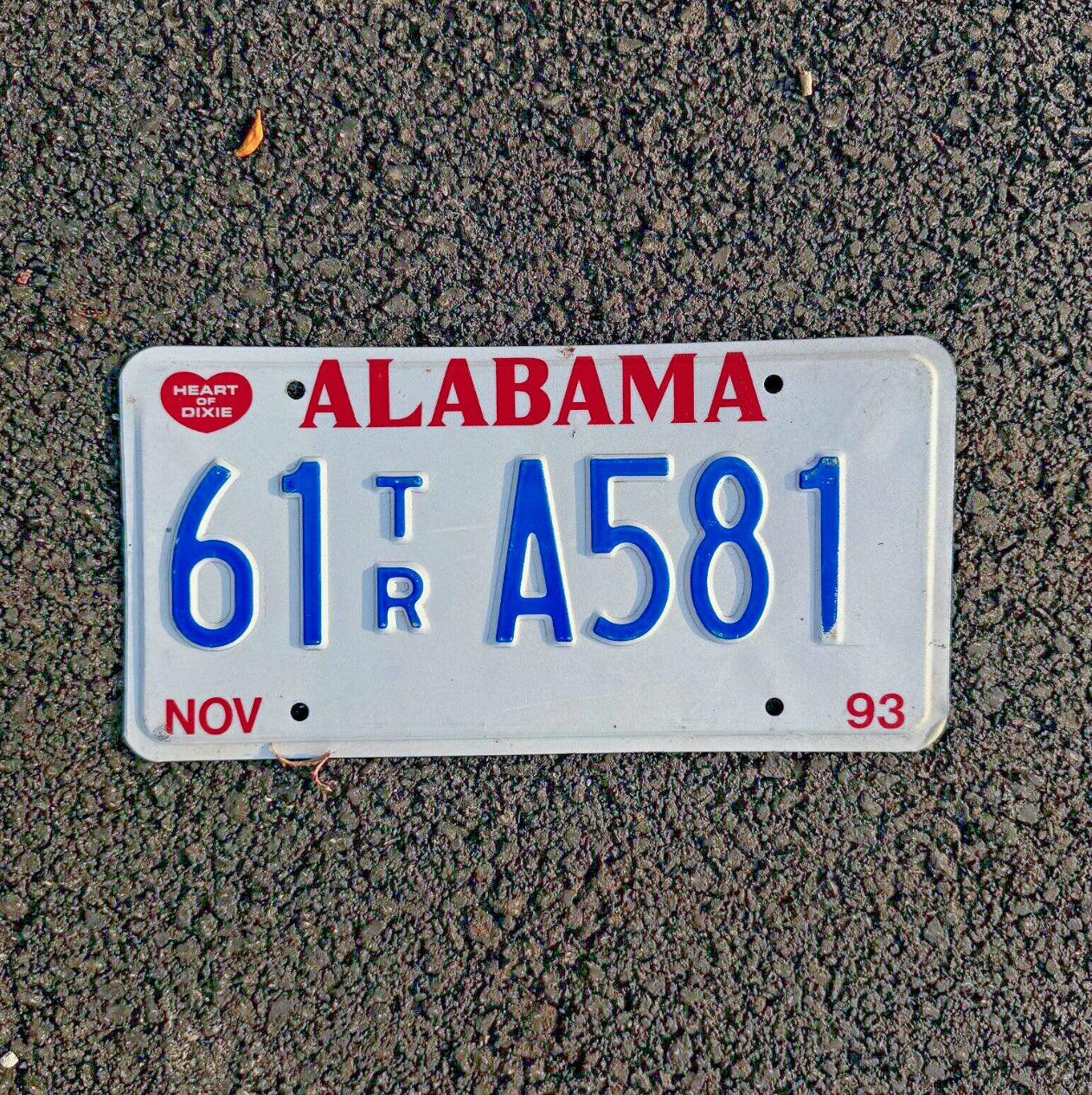 Photo of a 1993 Alabama Trailer License Plate Auto Tag Garage Decor Vintage Heart Dixie 61 TR A581