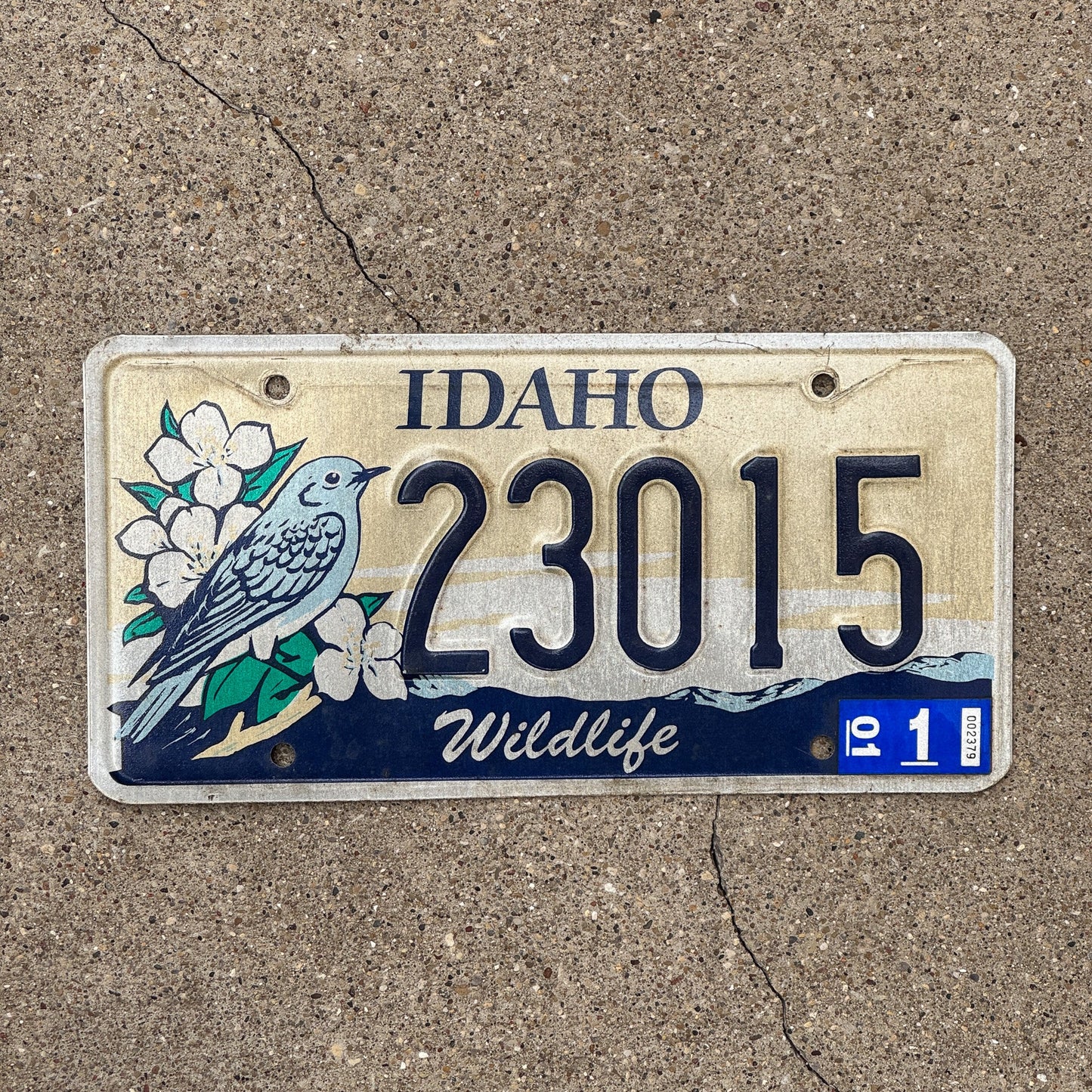 Photo of a 1993 Idaho Graphic / Specialty License Plate Auto Tag Garage Decor Vintage Wildlife Bird 23015