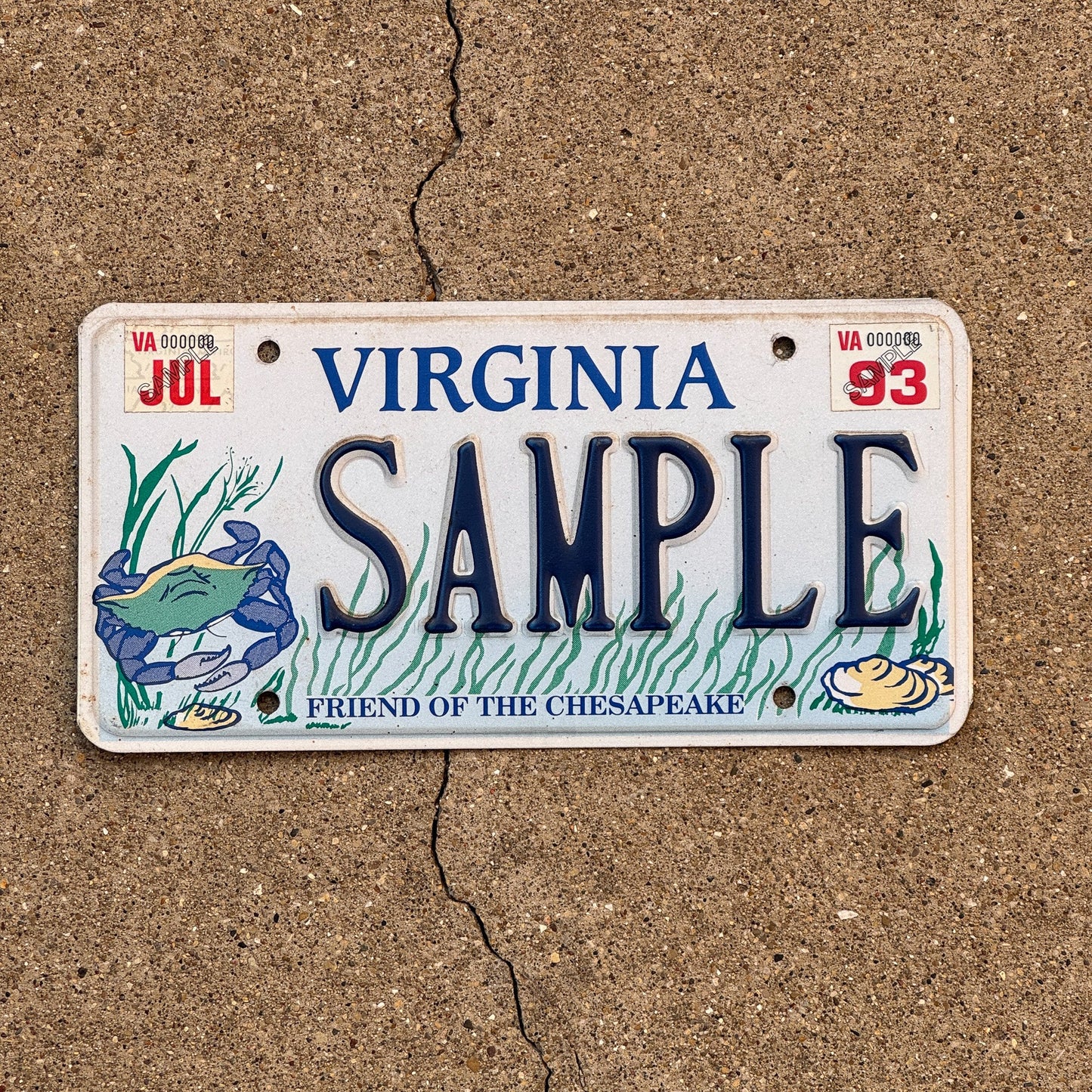 Photo of a 1993 Virginia Graphic / Specialty License Plate Auto Tag Garage Decor Vintage Friend of Chesapeake SAMPLE