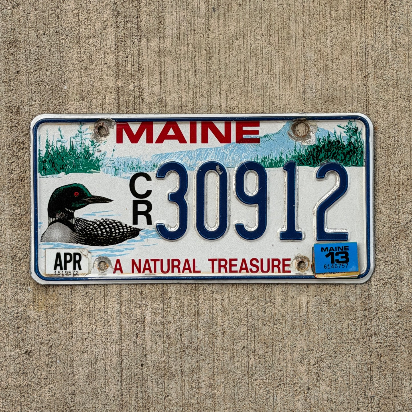 Photo of a 1994 2013 Maine Graphic / Specialty License Plate Auto Tag Garage Decor Vintage Loon Bird CR 30912 with original patina