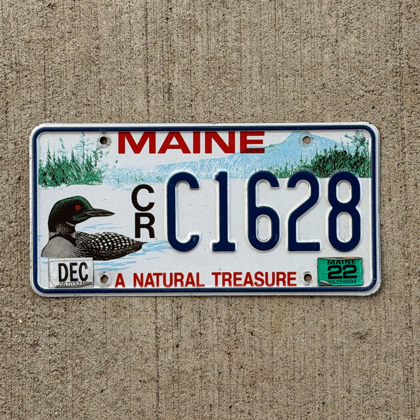 Photo of a 1994 2022 Maine Graphic / Specialty License Plate Auto Tag Garage Decor Vintage Loon Bird CR C1628 with original patina