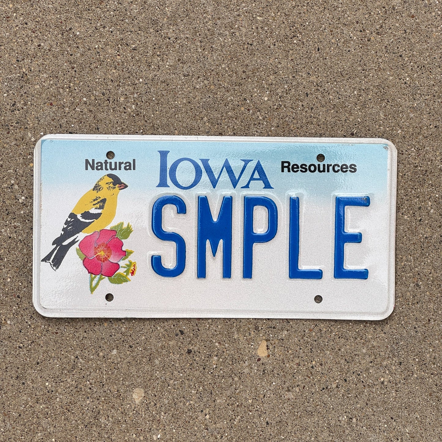 Photo of a 1995 Iowa Graphic Sample License Plate Auto Tag Garage Decor Vintage SMPLE