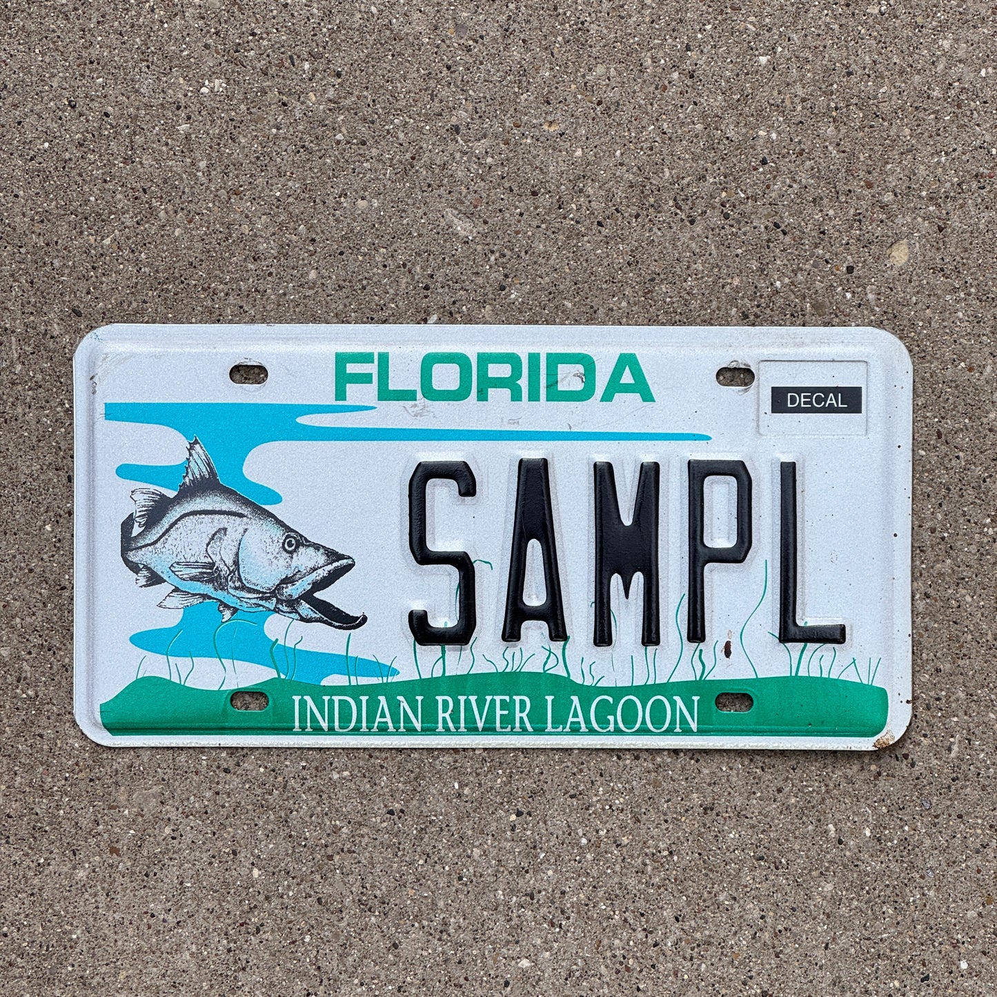 Photo of a 1995 Florida SAMPLE License Plate Auto Tag Indian River Lagoon Fish Fishing SAMPL