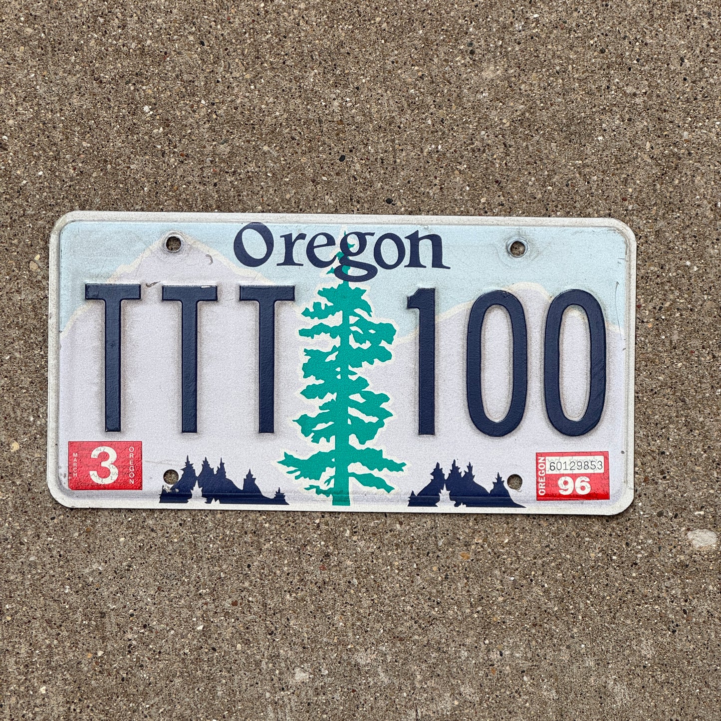 Photo of a 1996 Oregon License Plate Auto Tag Repeat Repeating TTT 100