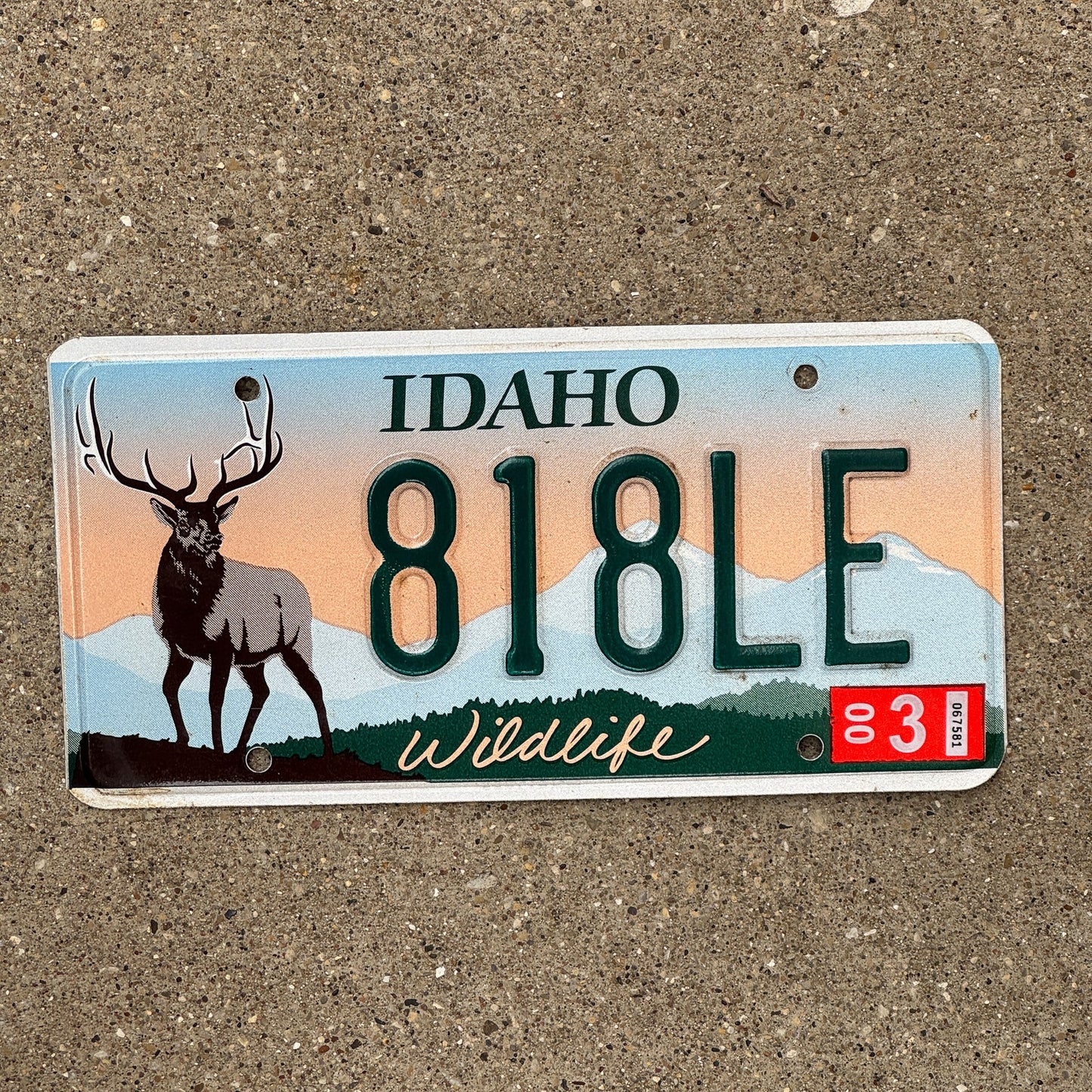 Photo of a 1997 Idaho Graphic / Specialty License Plate Auto Tag Garage Decor Vintage Wildlife 818 LE