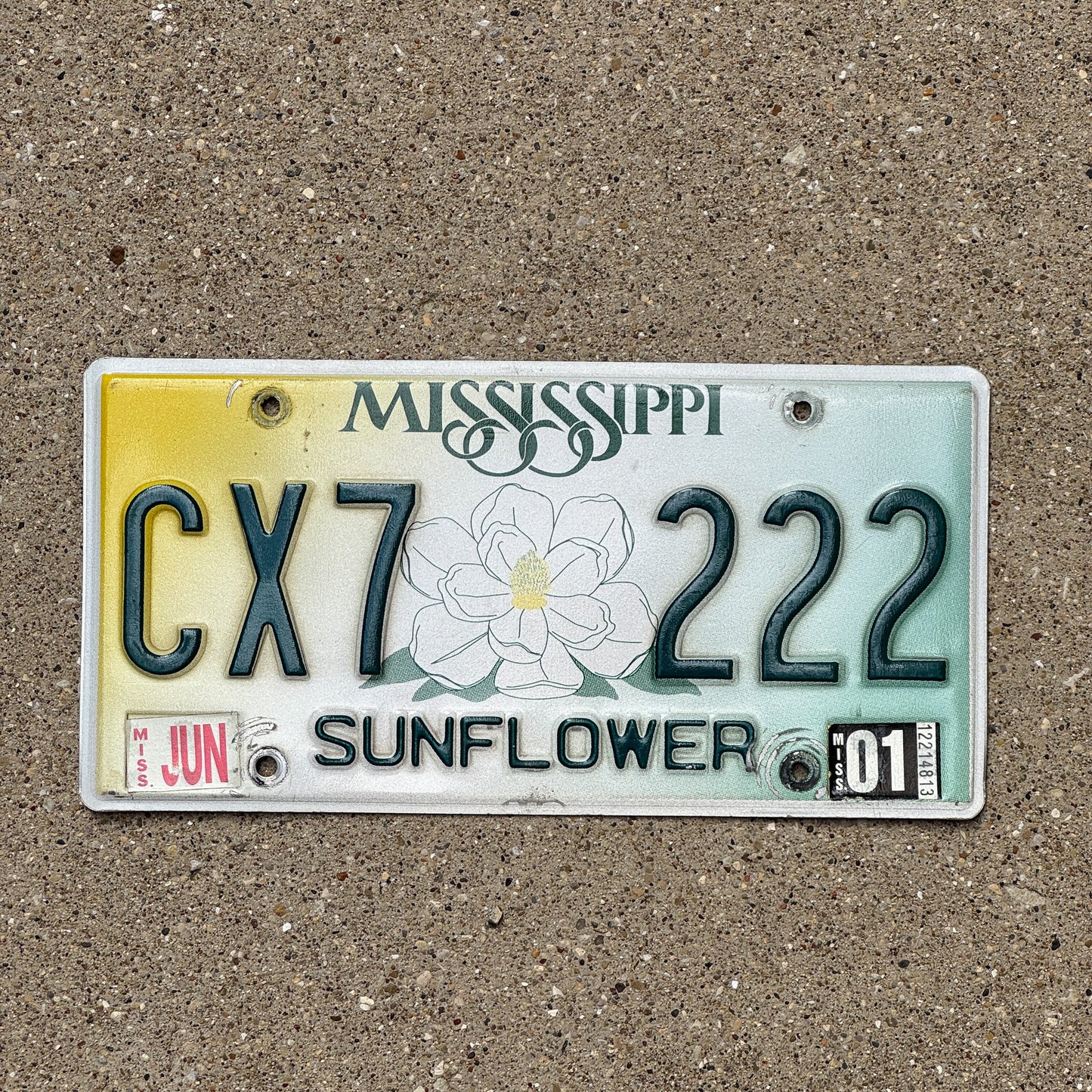 Photo of a 1998 2001 Mississippi License Plate Auto Tag Garage Decor Vintage Repeat Repeating CX7 222
