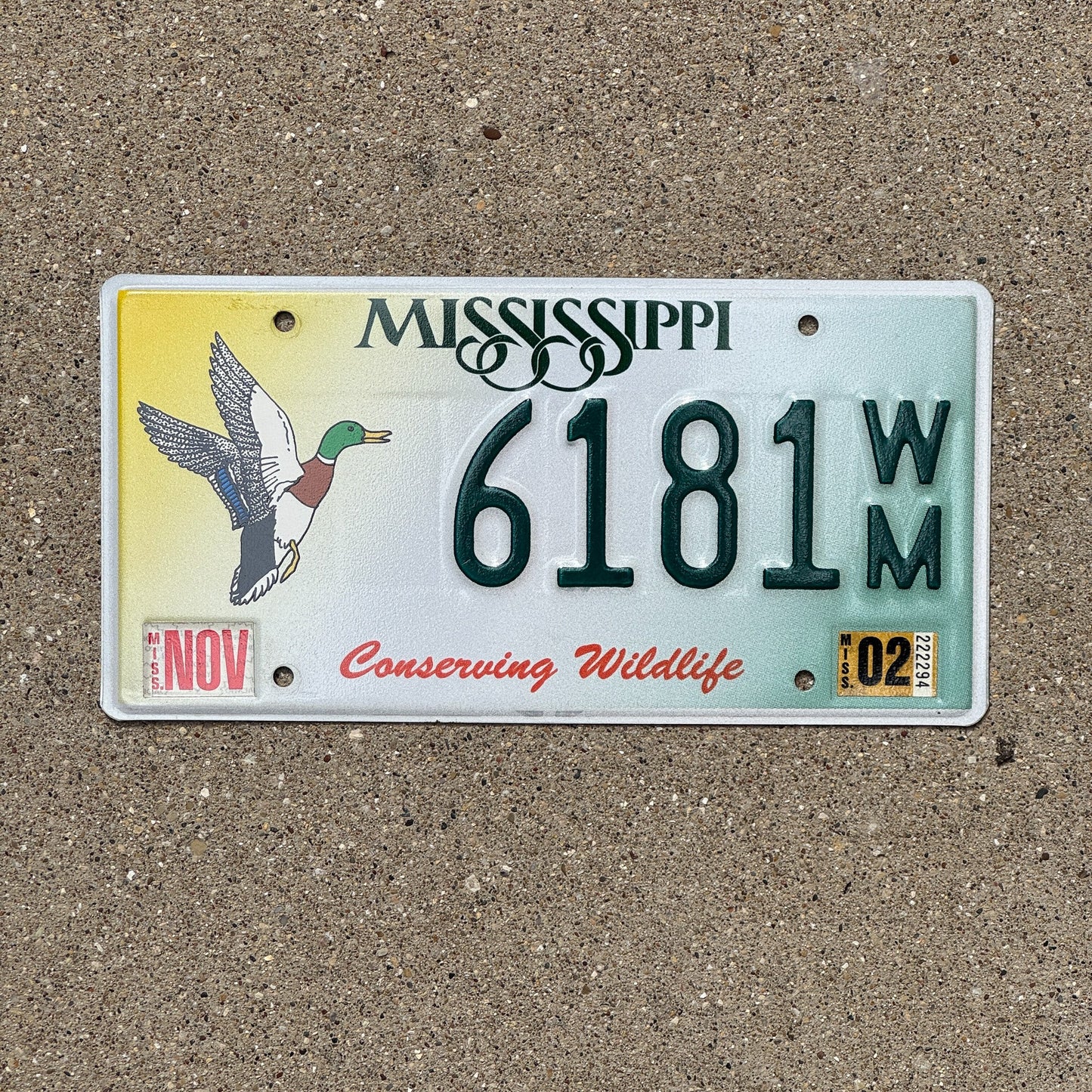 Photo of a 1998 2002 Mississippi License Plate Auto Tag Garage Decor Vintage Conserving Wildlife Hunting Duck 6181