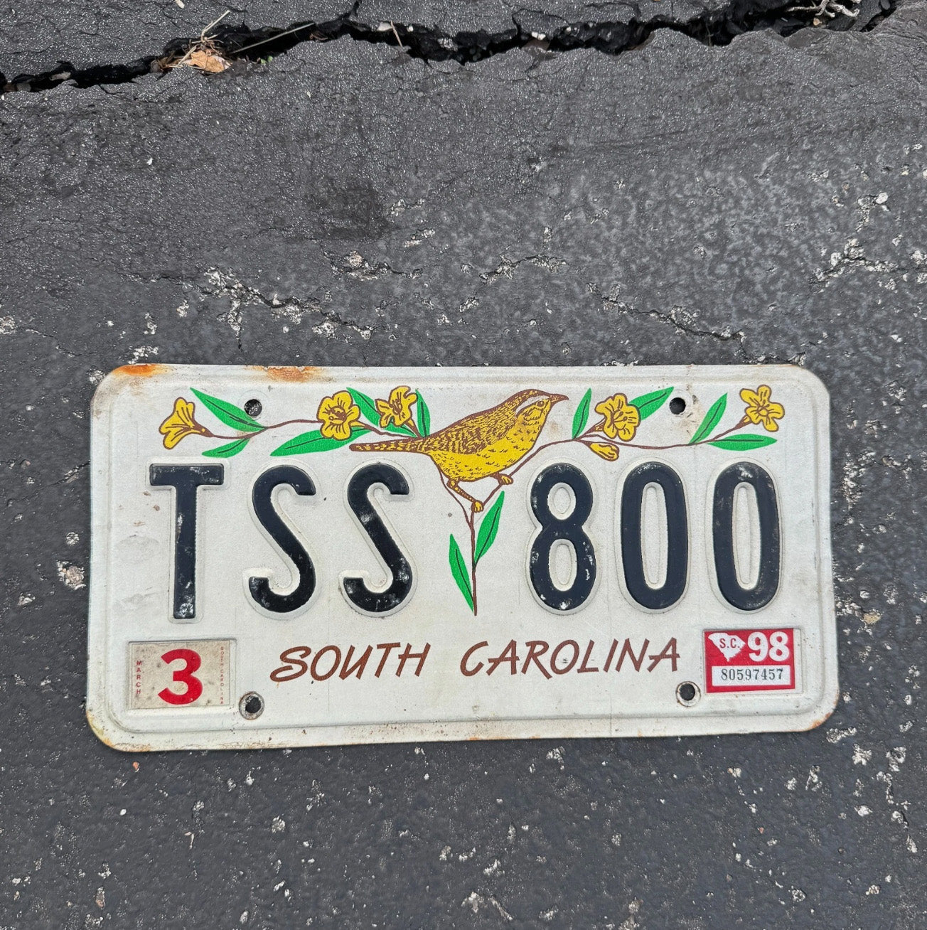 Photo of a 1998 South Carolina License Plate Auto Tag Garage Decor Vintage TSS 800