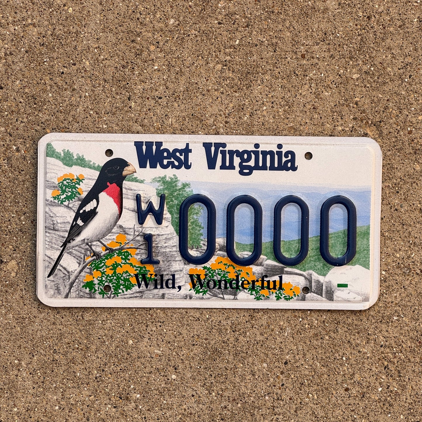 Photo of a 1998 West Virginia SAMPLE License Plate Auto Tag Garage Decor Vintage Grosbeak Bird W1 0000