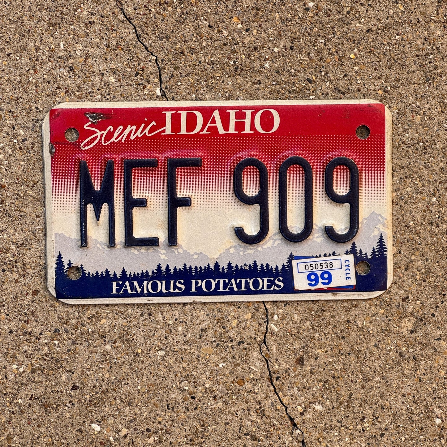 Photo of a 1999 Idaho MOTORCYCLE License Plate Auto Tag Garage Decor Vintage MEF 909