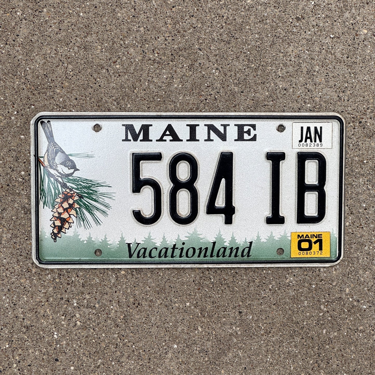 Photo of a 1999 Maine License Plate Auto Tag Garage Decor Vintage Chickadee Bird 584 IB