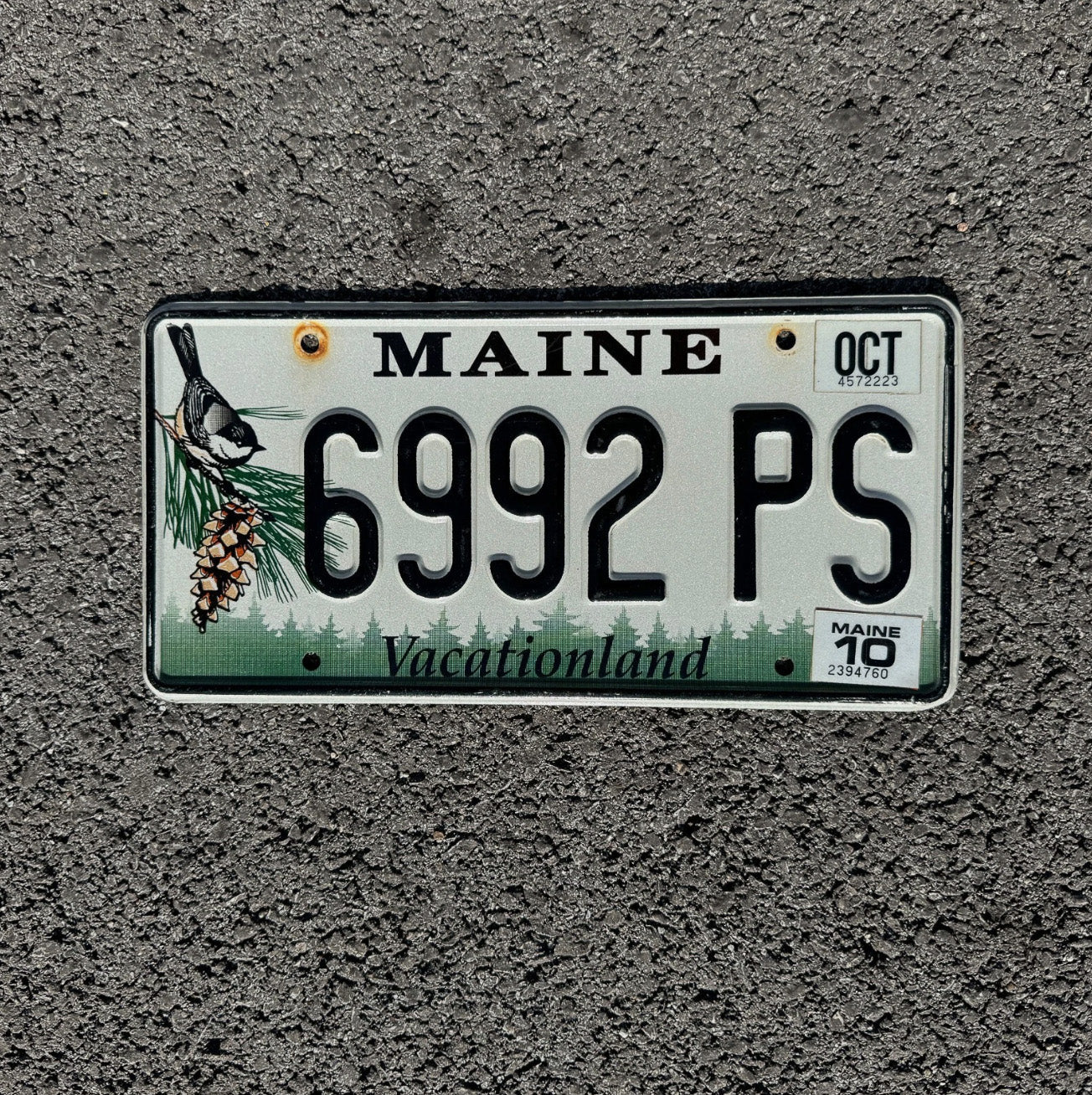 Photo of a 1999 Maine License Plate Auto Tag Garage Decor Vintage Chickadee Bird 6992 PS