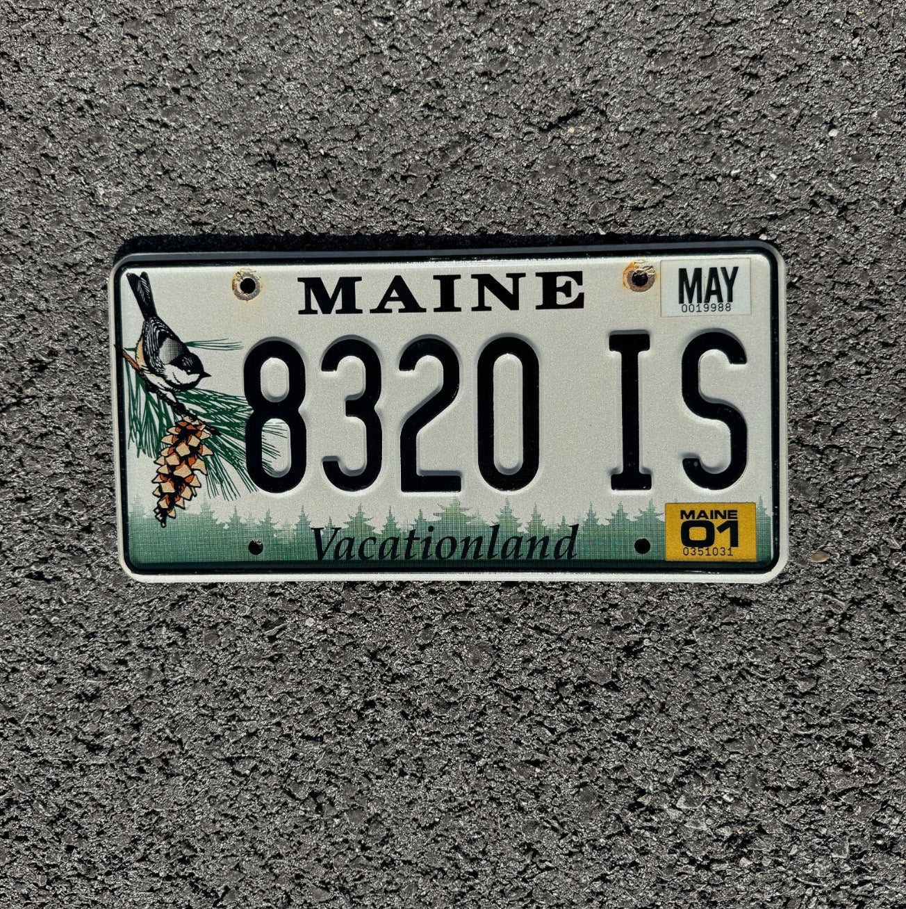 Photo of a 1999 Maine License Plate Auto Tag Garage Decor Vintage Chickadee Bird 8320 IS