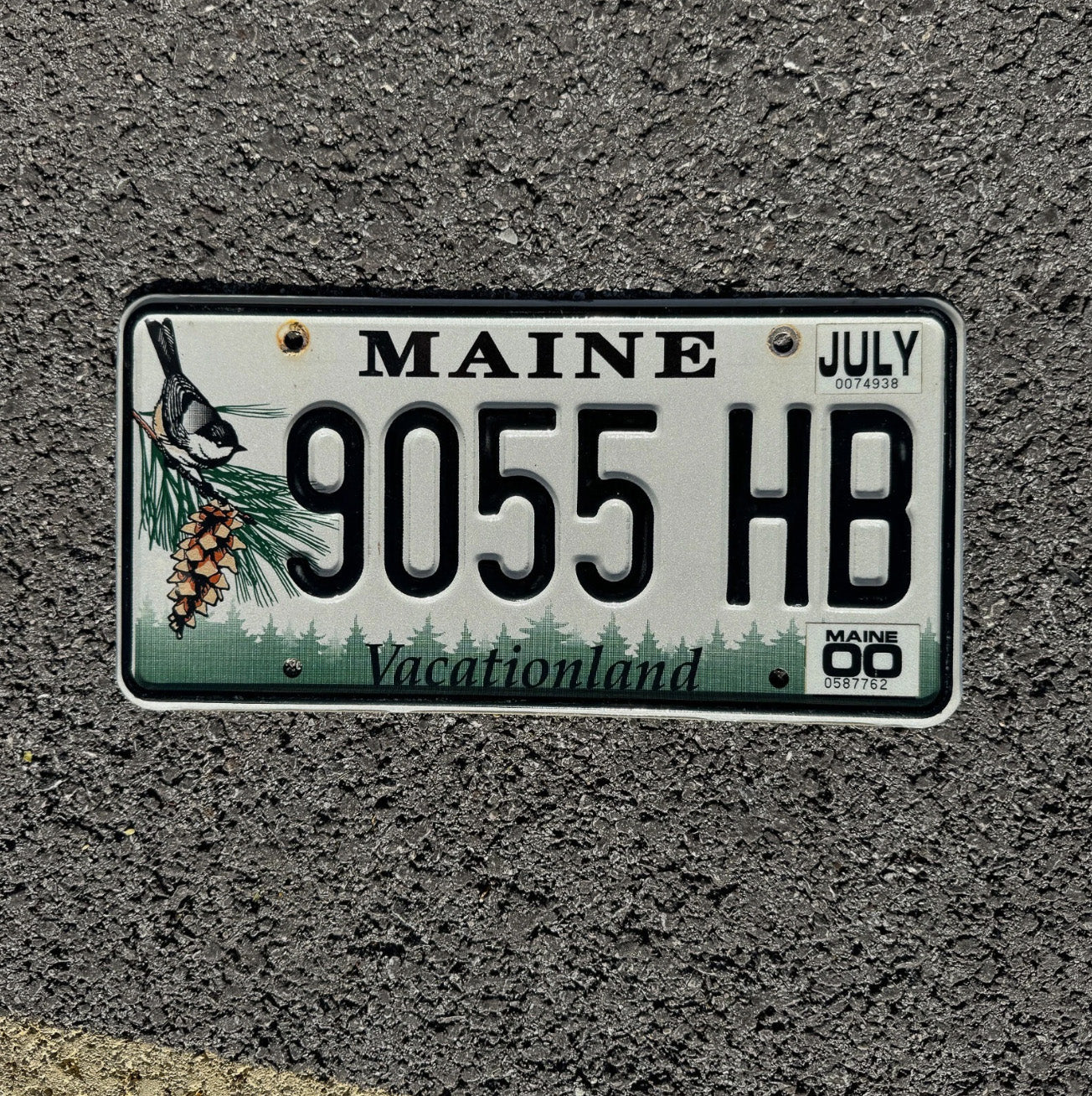 Photo of a 1999 Maine License Plate Auto Tag Garage Decor Vintage Chickadee Bird 9055 HB