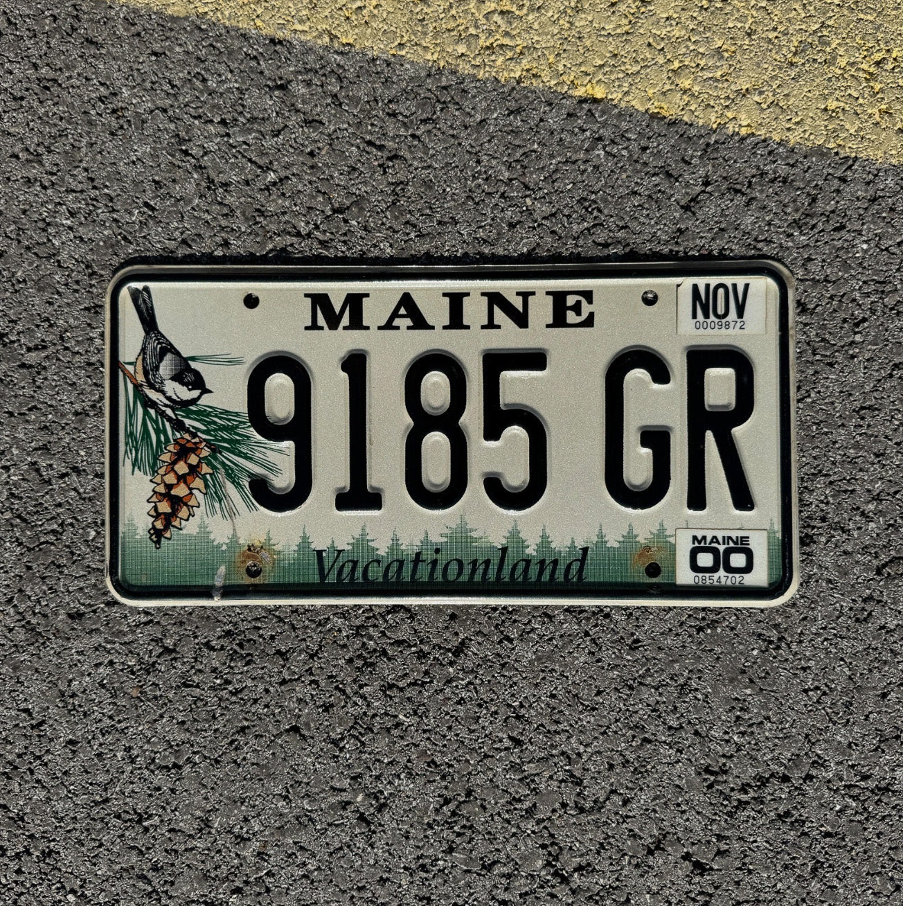 Photo of a 1999 Maine License Plate Auto Tag Garage Decor Vintage Chickadee Bird 9185 GR