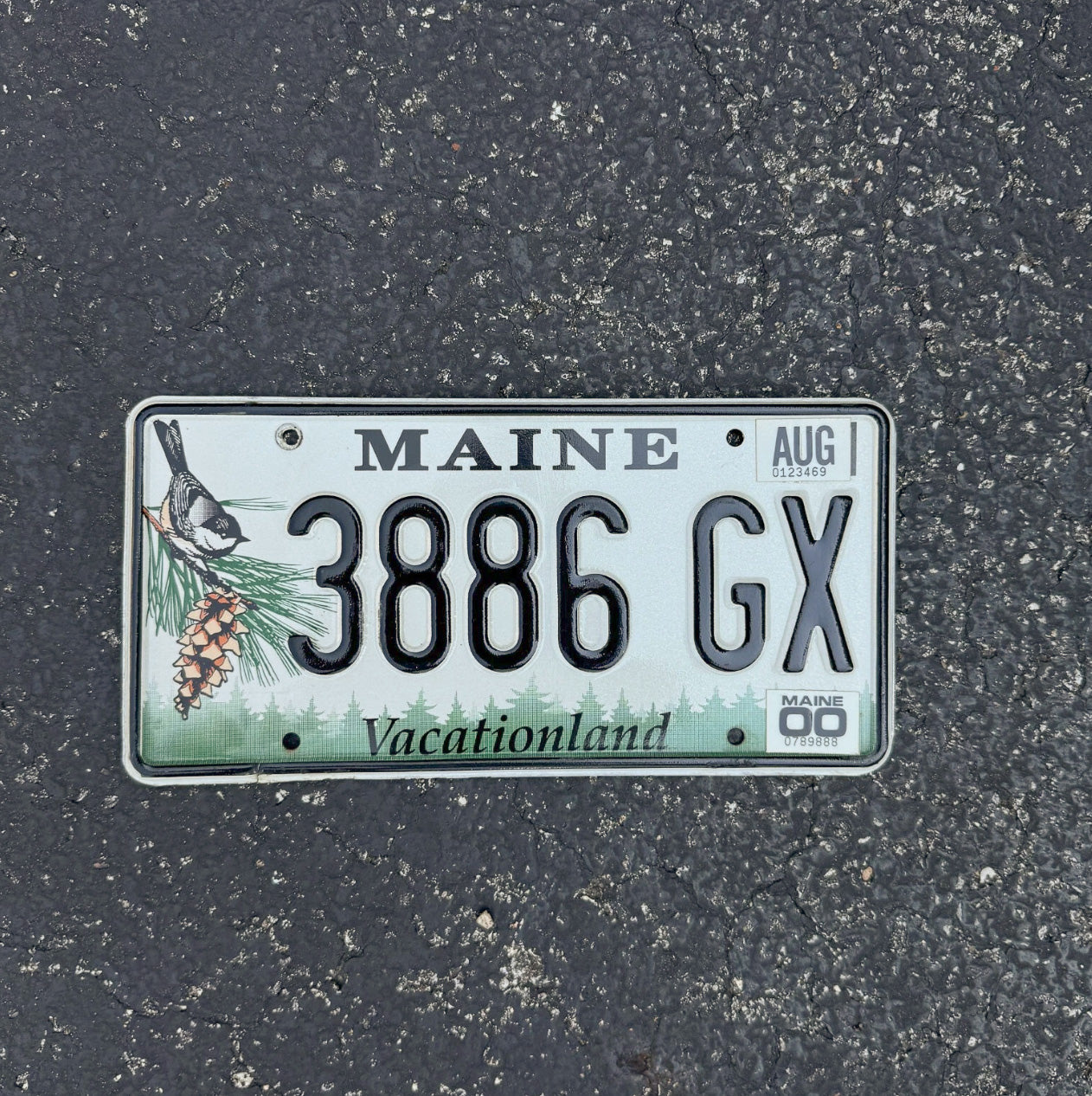 Photo of a 2000 Maine License Plate Auto Tag Garage Decor Vintage Chickadee Bird 3886 GX