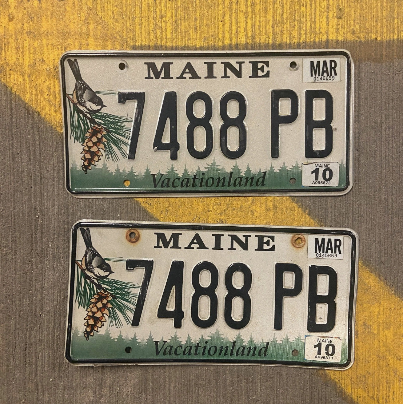 Photo of a 2000 Maine License Plate Auto Tag Garage Decor Vintage Chickadee Bird 7488 PB
