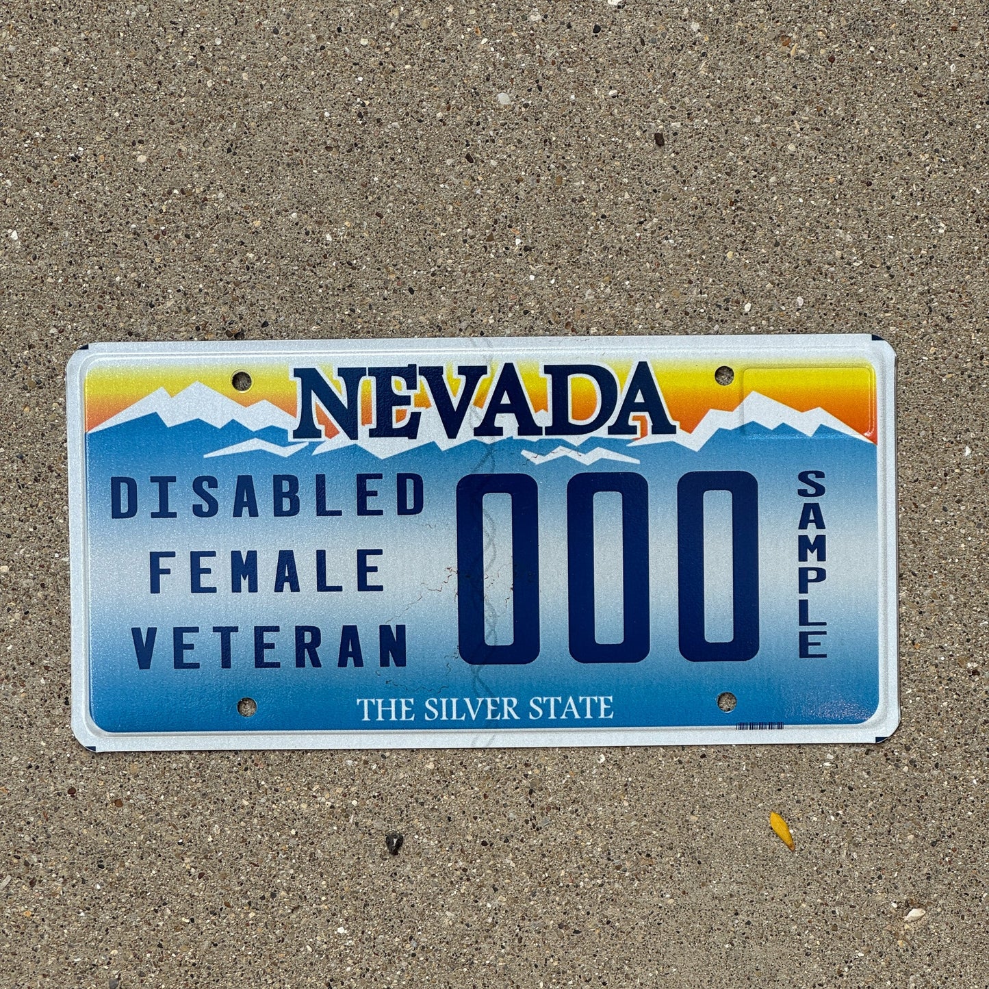 Photo of a 2001 Nevada Disabled Female Veteran License Plate Auto Tag Garage Decor Vintage Sample 000