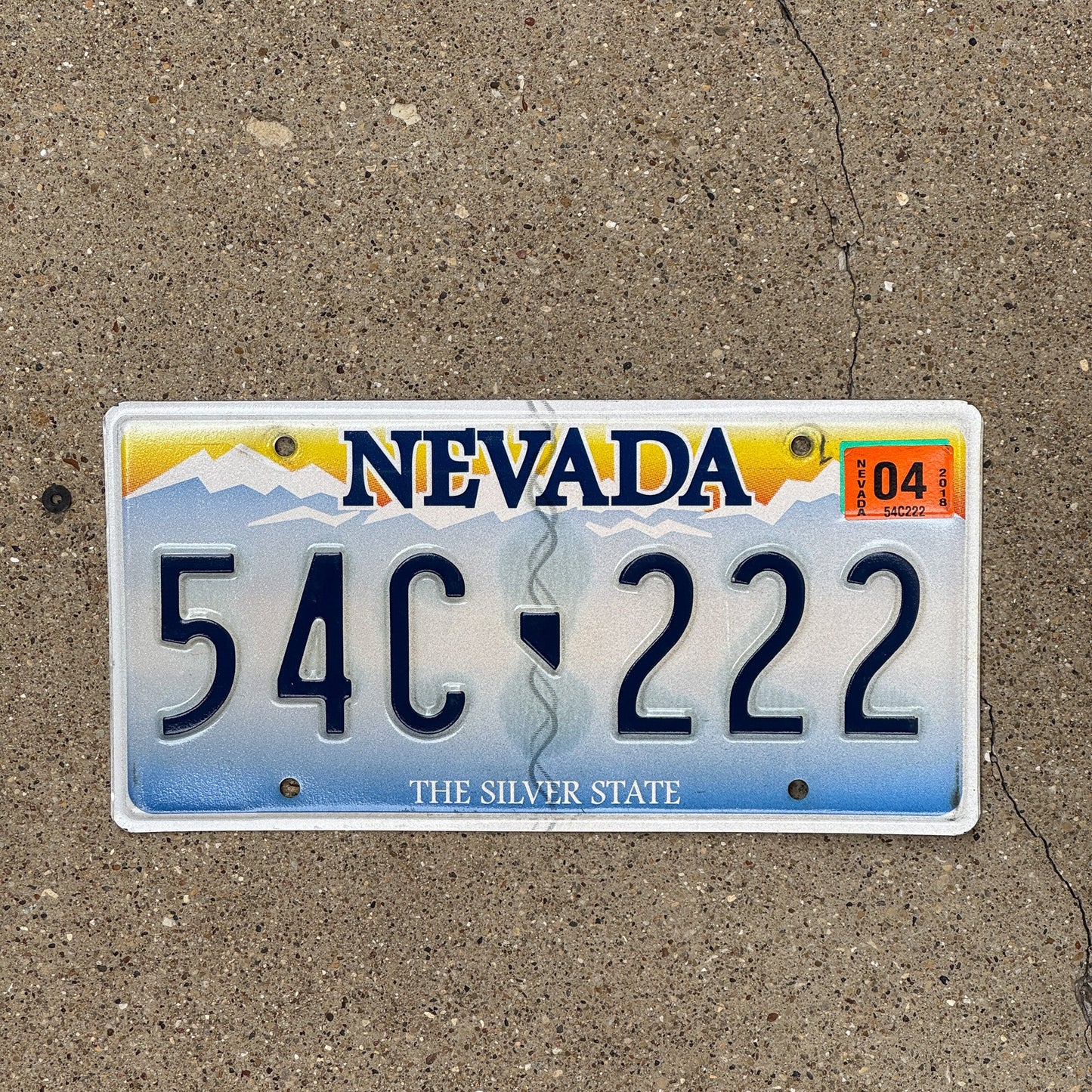 Photo of a 2001 Nevada License Plate Auto Tag Garage Decor Vintage Repeat Repeating 54C 222