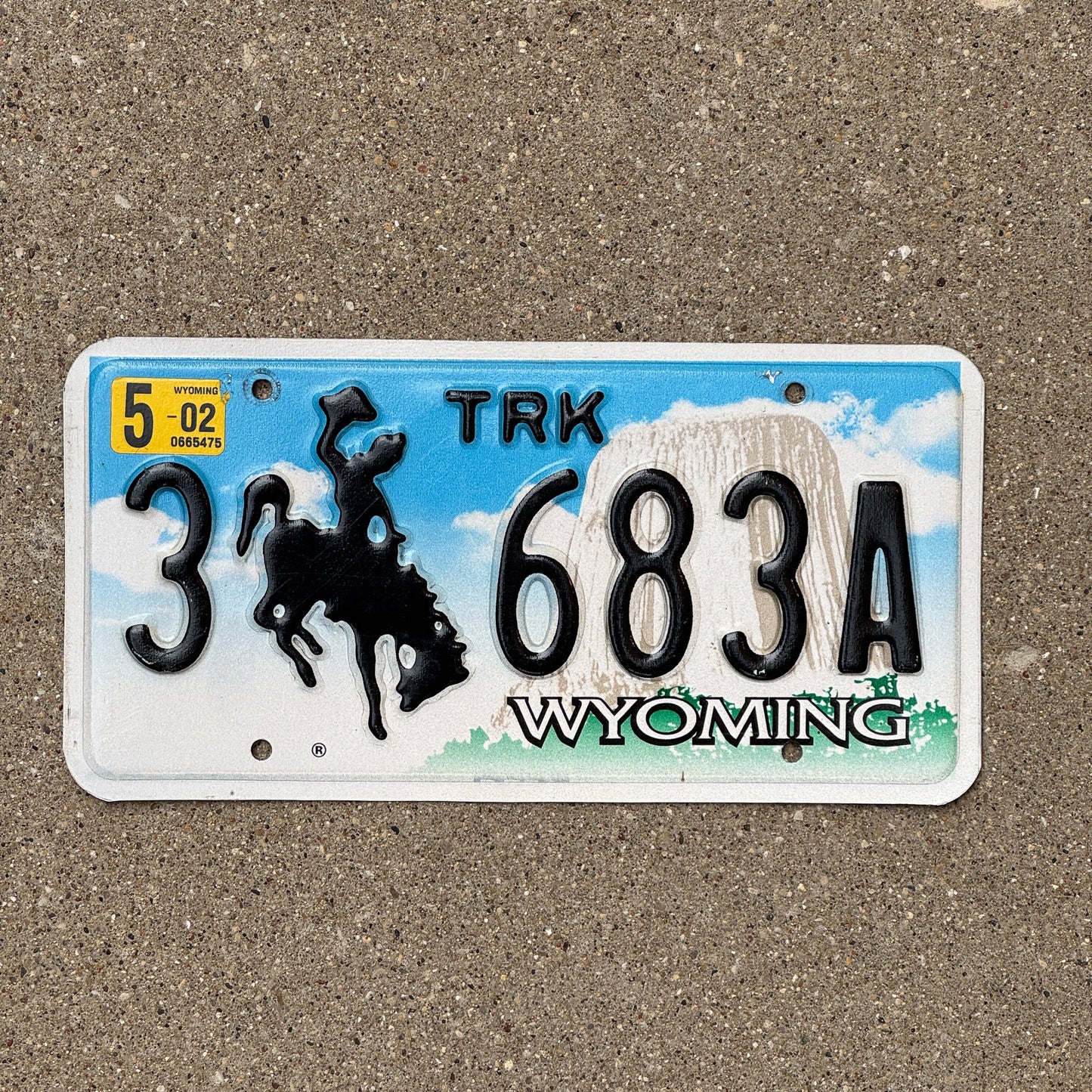 Photo of a 2001 Wyoming TRUCK License Plate Auto Tag Garage Decor Vintage Cowboy 3 6683 A