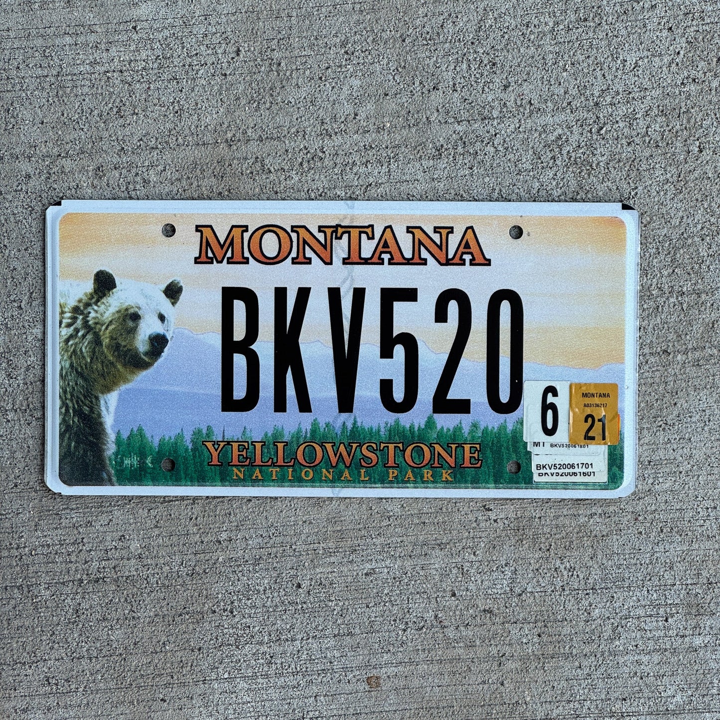 Photo of a 2003 2021 Montana Graphic / Specialty License Plate Auto Tag Garage Decor Vintage Yellowstone National Park BKV 520