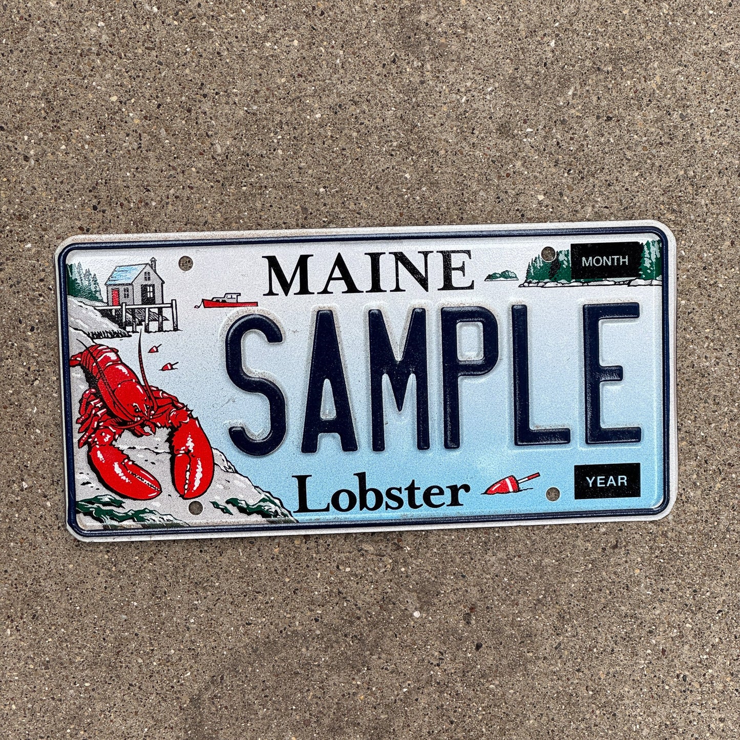 Photo of a 2003 Maine Graphic Sample License Plate Auto Tag Garage Decor Vintage Lobster SAMPLE