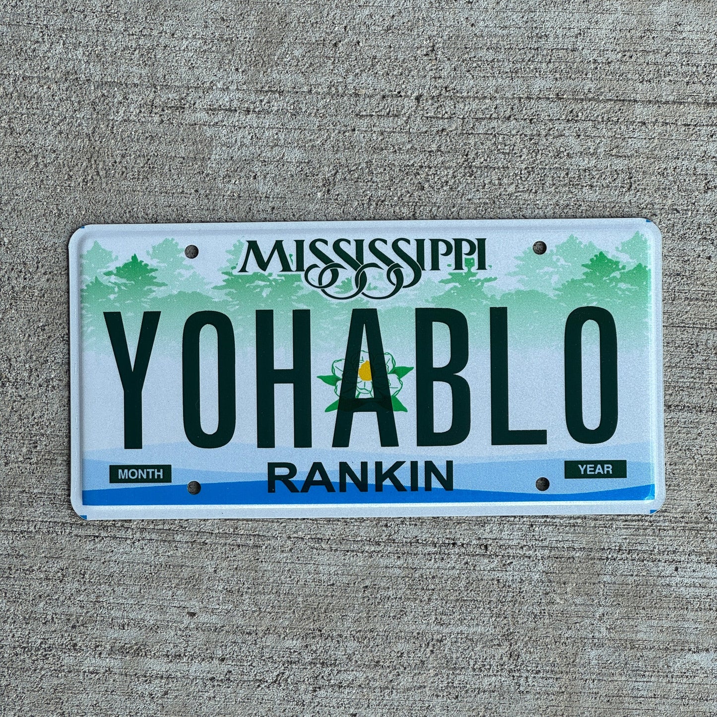 Photo of a 2003 Mississippi VANITY License Plate Auto Tag Garage Decor Vintage Spanish Mexico YO HABLO