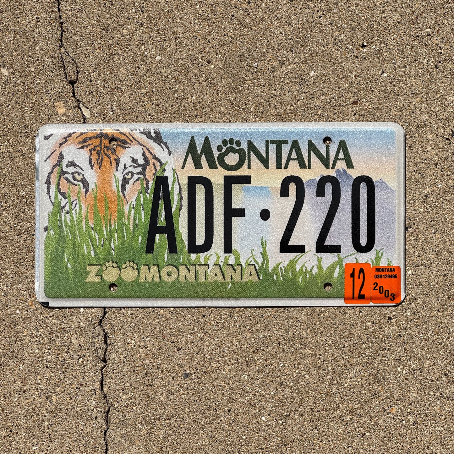 Photo of a 2003 Montana Graphic / Specialty License Plate Auto Tag Garage Decor Vintage Zoo Montana Tiger Natural 2003 Sticker ADF 220