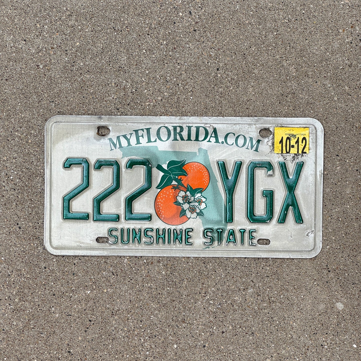Photo of a 2004 Florida License Plate Auto Tag Garage Decor Vintage Repeat Repeating 222 YGX