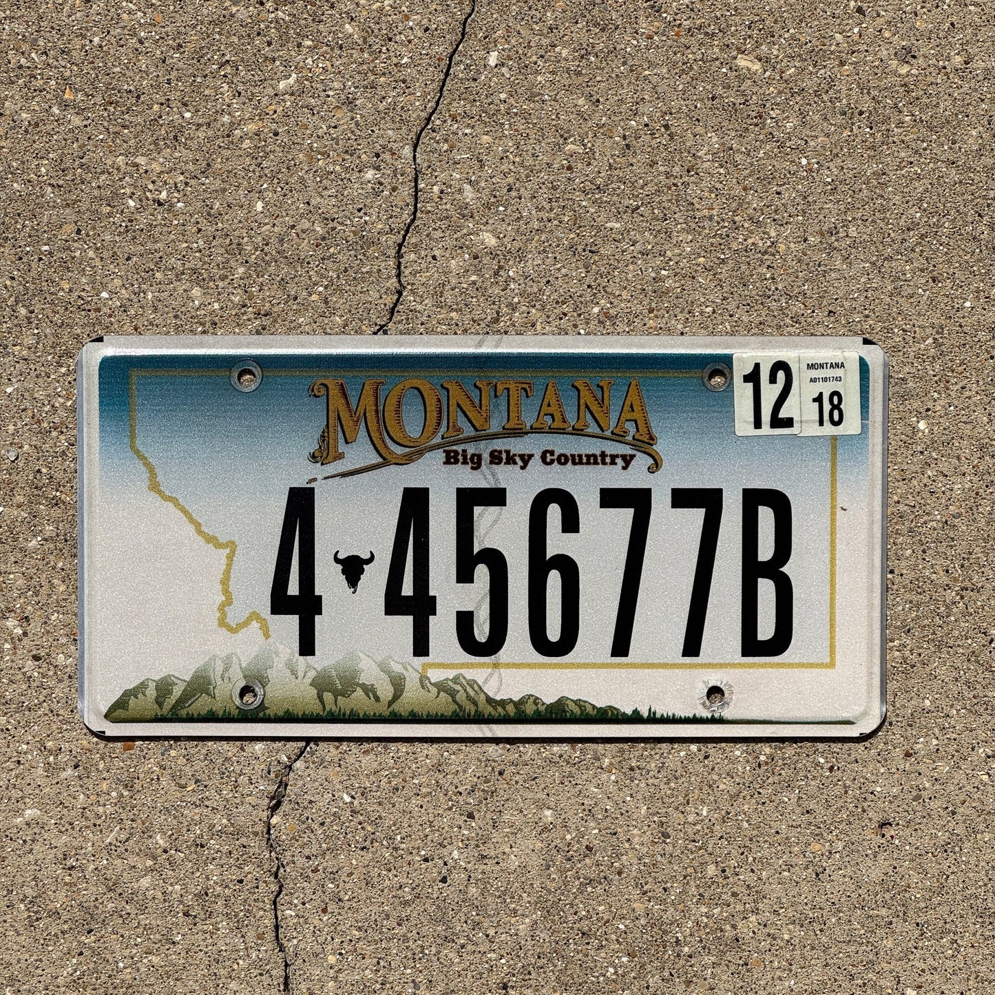 Photo of a 2006 2018 Montana License Plate Auto Tag Garage Decor Vintage 4 45677B