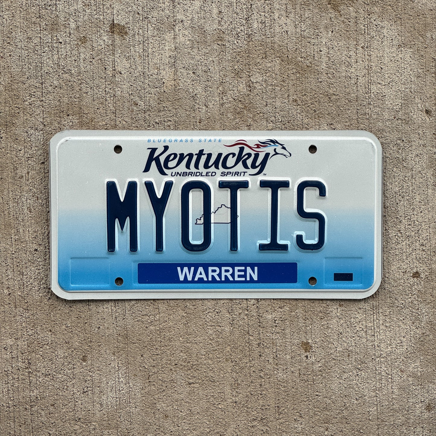 Photo of a 2006 Kentucky Vanity License Plate Auto Tag Garage Decor Vintage Bat Species Halloween Decor MYOTIS with original patina