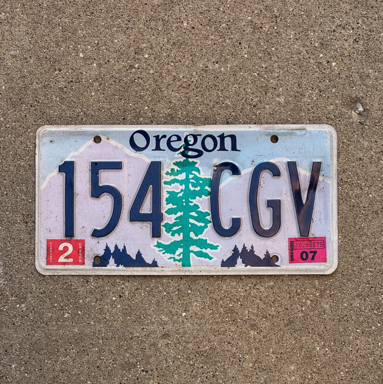Photo of a 2007 Oregon License Plate Auto Tag Garage Decor 154 CGV